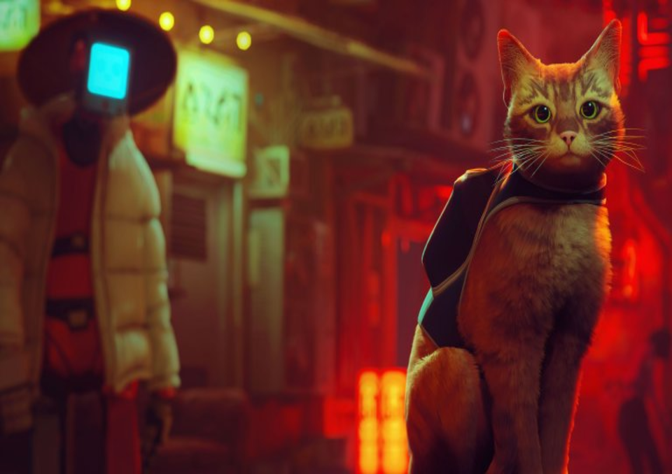 Котешки живот: Играта Stray се превръща във филм